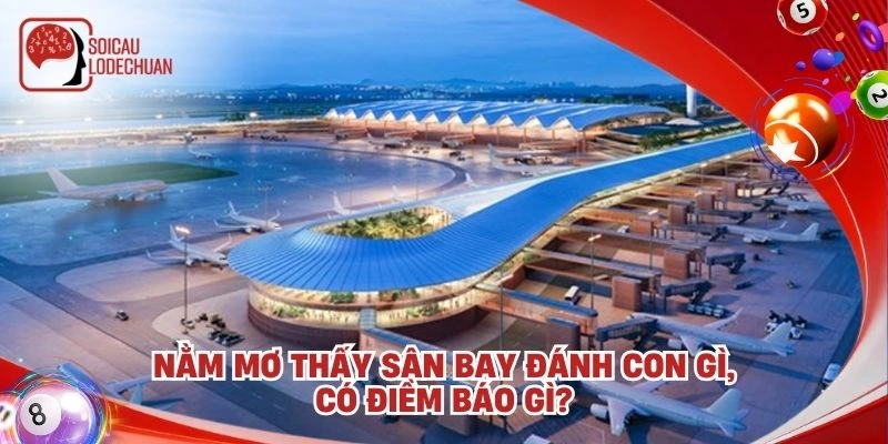 Nằm mơ thấy sân bay đánh con gì, có điềm báo gì?