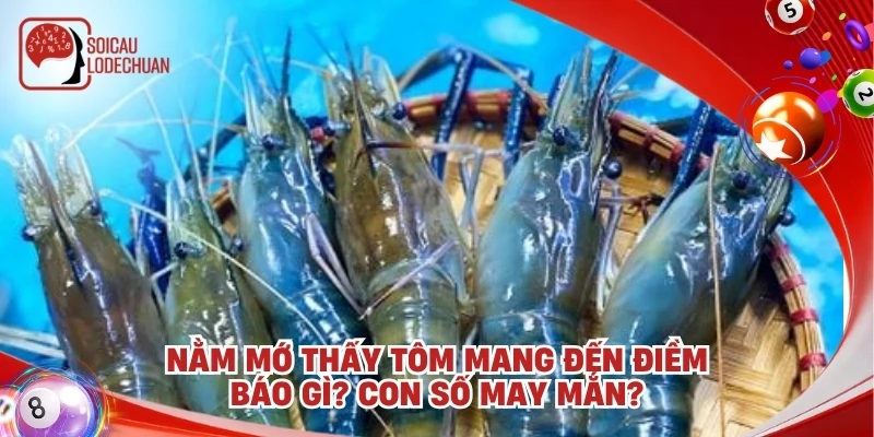 Nằm mớ thấy tôm mang đến điềm báo gì? Con số may mắn?