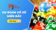 Dự đoán XSMB 8/10 – Soi cầu XSMB hôm nay 8/10/2026